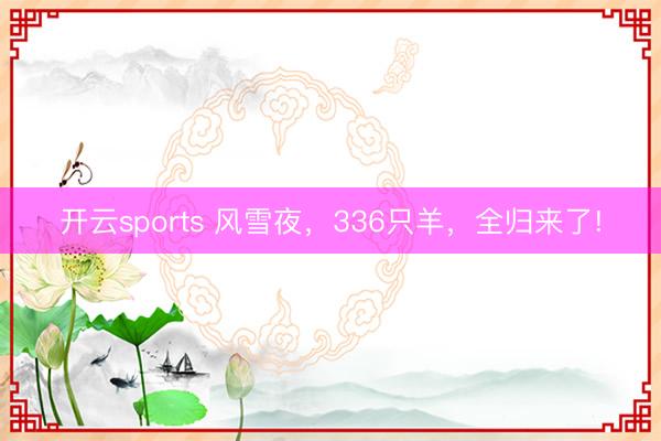 开云sports 风雪夜，336只羊，全归来了!