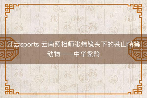 开云sports 云南照相师张炜镜头下的苍山特等动物——中华鬣羚