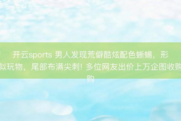 开云sports 男人发现荒僻酷炫配色蜥蜴，形似玩物，尾部布满尖刺! 多位网友出价上万企图收购