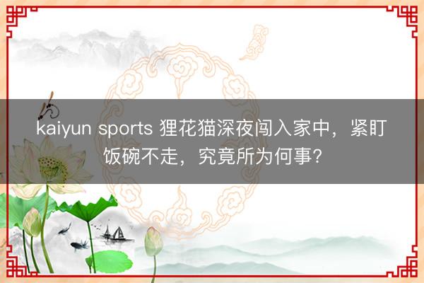 kaiyun sports 狸花猫深夜闯入家中，紧盯饭碗不走，究竟所为何事?