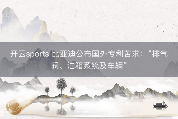 开云sports 比亚迪公布国外专利苦求:“排气阀、油箱系统及车辆”