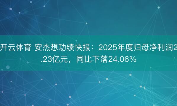 开云体育 安杰想功绩快报：2025年度归母净利润2.23亿元，同比下落24.06%