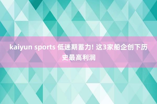 kaiyun sports 低迷期蓄力! 这3家船企创下历史最高利润