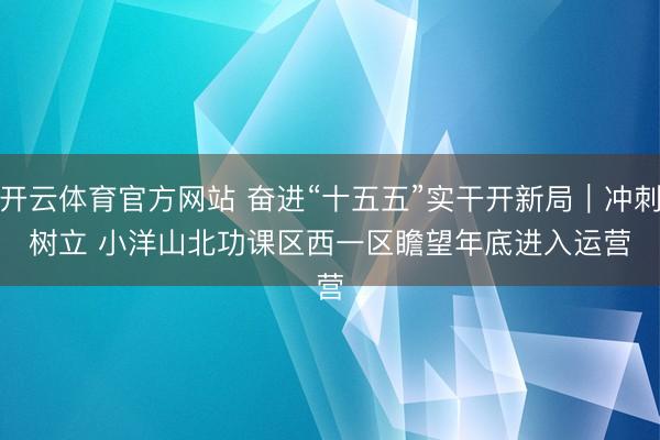 开云体育官方网站 奋进“十五五”实干开新局｜冲刺树立 小洋山北功课区西一区瞻望年底进入运营