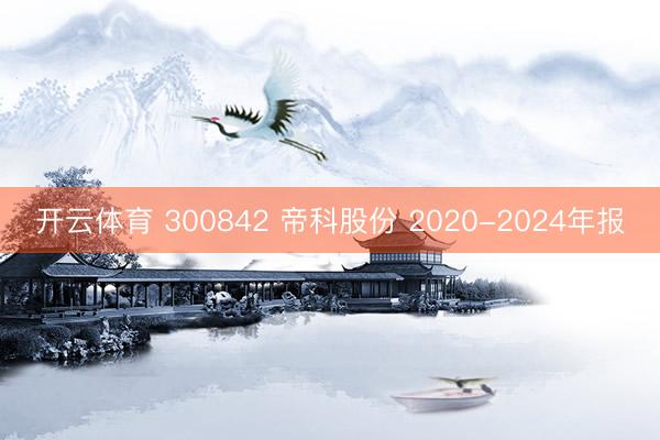 开云体育 300842 帝科股份 2020-2024年报