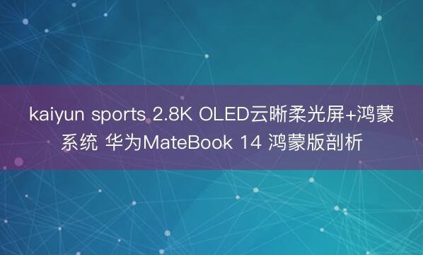 kaiyun sports 2.8K OLED云晰柔光屏+鸿蒙系统 华为MateBook 14 鸿蒙版剖析