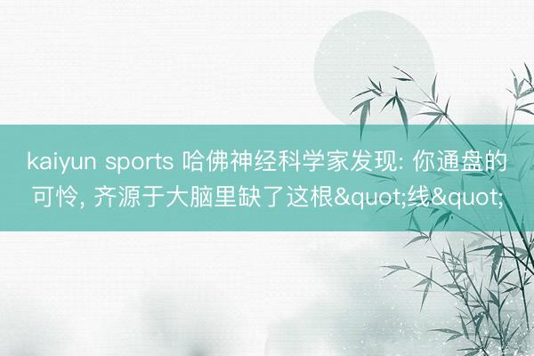 kaiyun sports 哈佛神经科学家发现: 你通盘的可怜， 齐源于大脑里缺了这根"线"