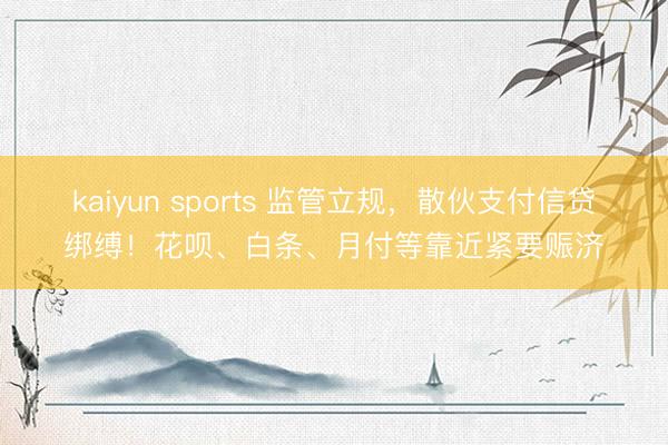 kaiyun sports 监管立规，散伙支付信贷绑缚！花呗、白条、月付等靠近紧要赈济