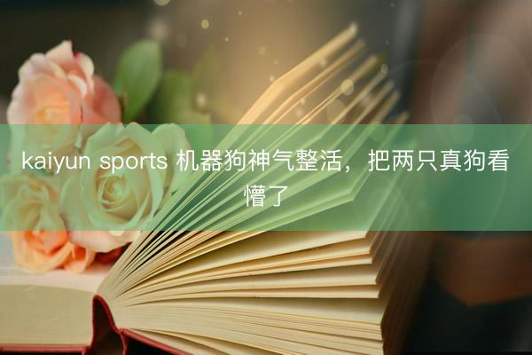 kaiyun sports 机器狗神气整活，把两只真狗看懵了