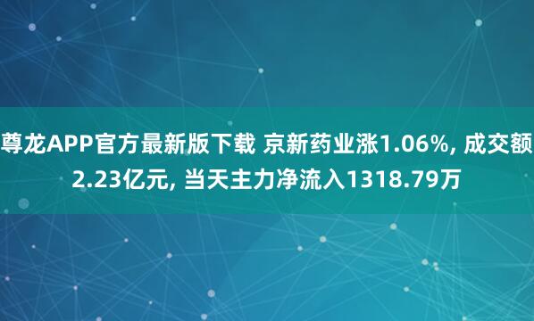 尊龙APP官方最新版下载 京新药业涨1.06%， 成交额2.23亿元， 当天主力净流入1318.79万