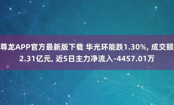 尊龙APP官方最新版下载 华光环能跌1.30%， 成交额2.31亿元， 近5日主力净流入-4457.01万