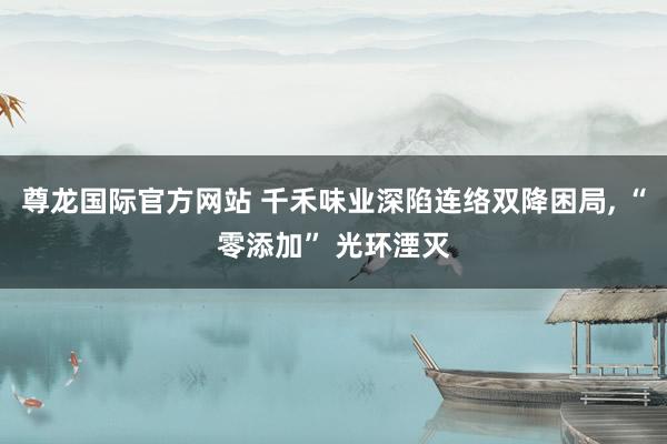 尊龙国际官方网站 千禾味业深陷连络双降困局， “零添加” 光环湮灭