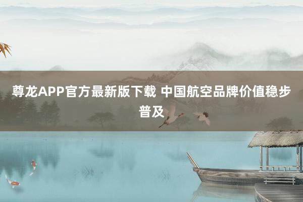 尊龙APP官方最新版下载 中国航空品牌价值稳步普及
