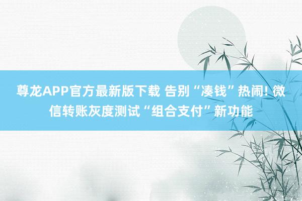 尊龙APP官方最新版下载 告别“凑钱”热闹! 微信转账灰度测试“组合支付”新功能