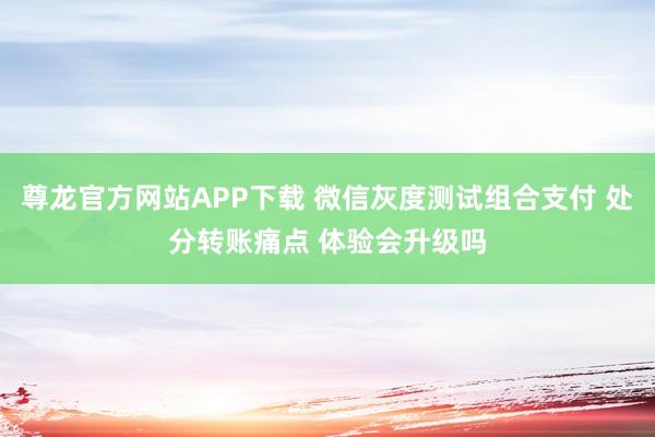 尊龙官方网站APP下载 微信灰度测试组合支付 处分转账痛点 体验会升级吗