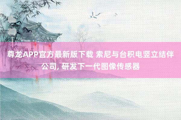 尊龙APP官方最新版下载 索尼与台积电竖立结伴公司, 研发下一代图像传感器