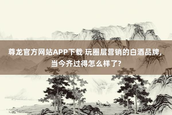 尊龙官方网站APP下载 玩圈层营销的白酒品牌, 当今齐过得怎么样了?