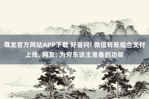 尊龙官方网站APP下载 好音问! 微信转账组合支付上线， 网友: 为穷东谈主准备的功能