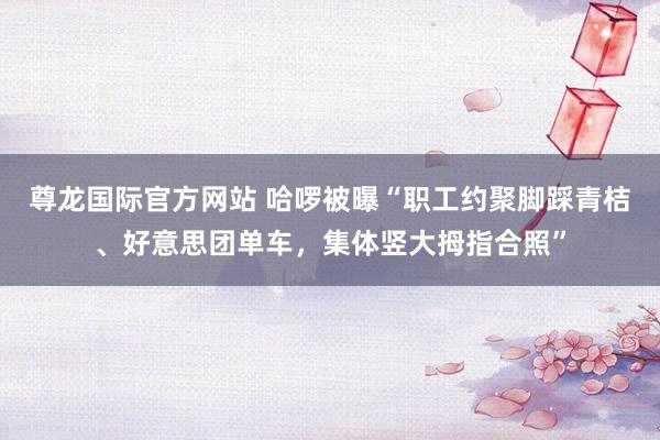 尊龙国际官方网站 哈啰被曝“职工约聚脚踩青桔、好意思团单车,集体竖大拇指合照”