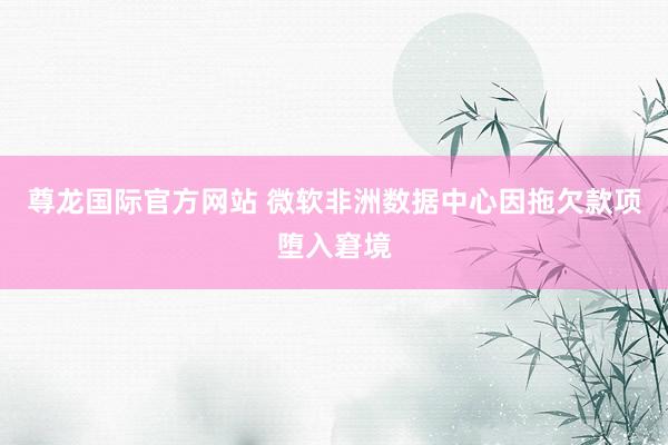 尊龙国际官方网站 微软非洲数据中心因拖欠款项堕入窘境
