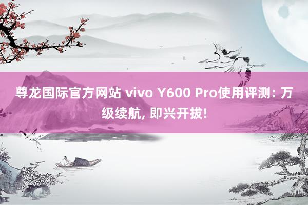 尊龙国际官方网站 vivo Y600 Pro使用评测: 万级续航， 即兴开拔!