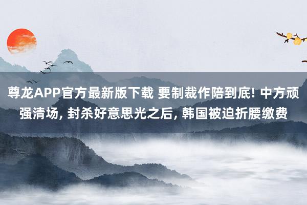 尊龙APP官方最新版下载 要制裁作陪到底! 中方顽强清场， 封杀好意思光之后， 韩国被迫折腰缴费