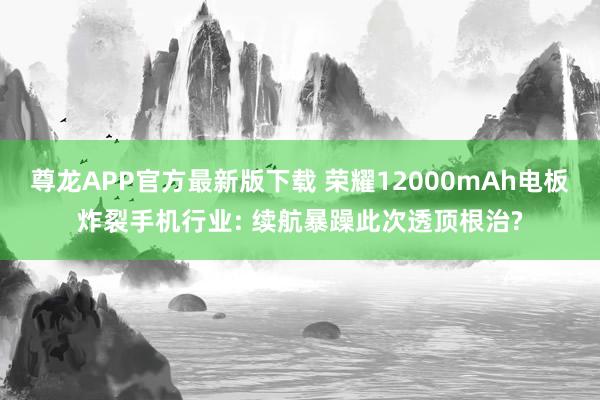 尊龙APP官方最新版下载 荣耀12000mAh电板炸裂手机行业: 续航暴躁此次透顶根治?