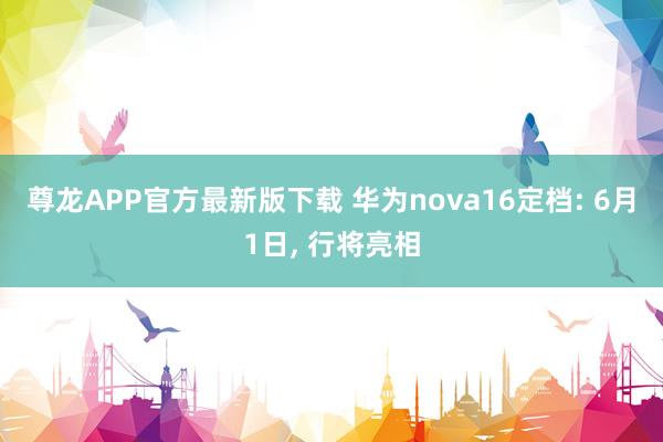尊龙APP官方最新版下载 华为nova16定档: 6月1日， 行将亮相