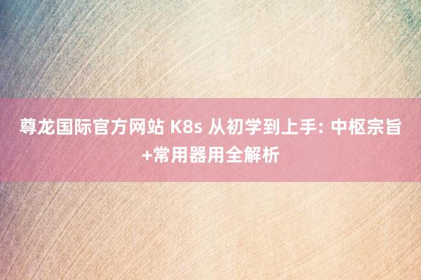 尊龙国际官方网站 K8s 从初学到上手: 中枢宗旨+常用器用全解析