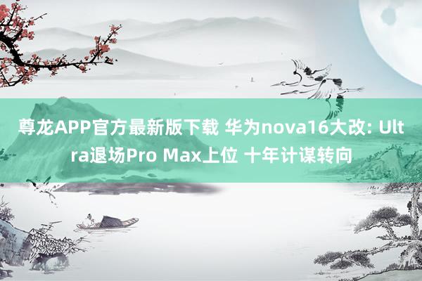 尊龙APP官方最新版下载 华为nova16大改: Ultra退场Pro Max上位 十年计谋转向