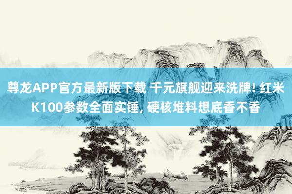尊龙APP官方最新版下载 千元旗舰迎来洗牌! 红米K100参数全面实锤， 硬核堆料想底香不香