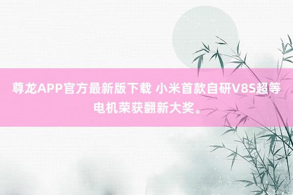 尊龙APP官方最新版下载 小米首款自研V8S超等电机荣获翻新大奖。