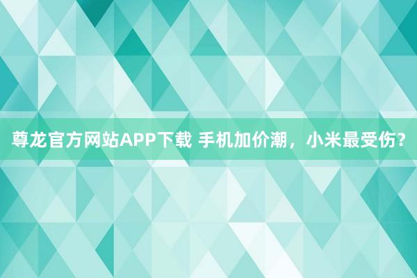 尊龙官方网站APP下载 手机加价潮，小米最受伤？