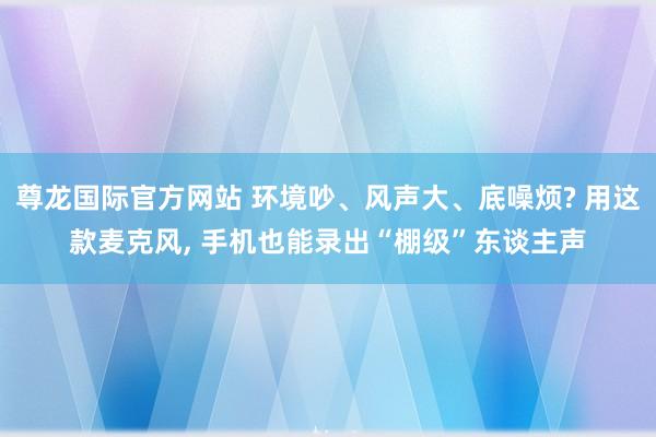 尊龙国际官方网站 环境吵、风声大、底噪烦? 用这款麦克风， 手机也能录出“棚级”东谈主声