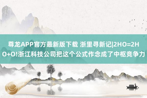 尊龙APP官方最新版下载 浙里寻新记|2HO=2HO+O!浙江科技公司把这个公式作念成了中枢竞争力