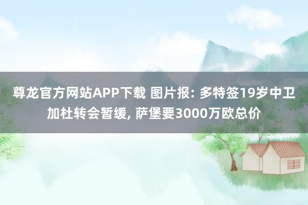 尊龙官方网站APP下载 图片报: 多特签19岁中卫加杜转会暂缓， 萨堡要3000万欧总价