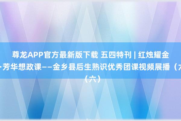 尊龙APP官方最新版下载 五四特刊 | 红烛耀金乡·芳华想政课——金乡县后生熟识优秀团课视频展播（六）