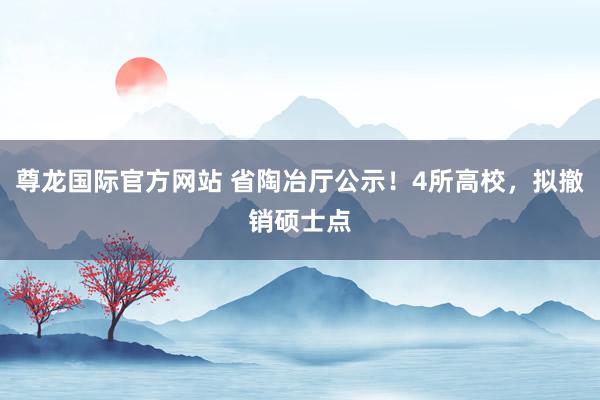 尊龙国际官方网站 省陶冶厅公示!4所高校,拟撤销硕士点