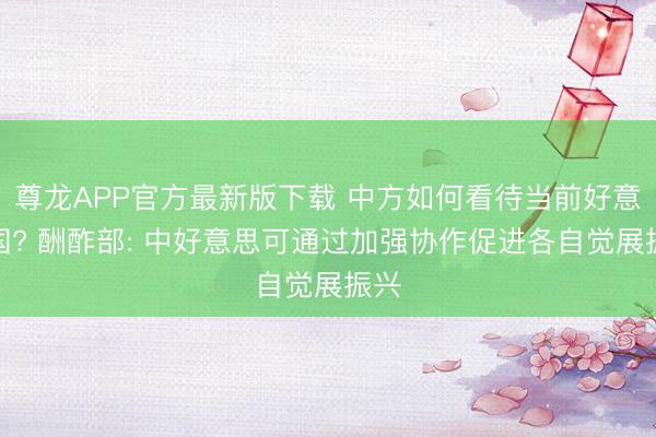 尊龙APP官方最新版下载 中方如何看待当前好意思国? 酬酢部: 中好意思可通过加强协作促进各自觉展振兴