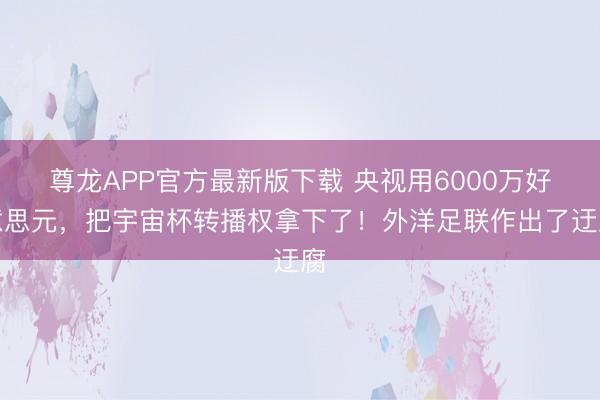 尊龙APP官方最新版下载 央视用6000万好意思元，把宇宙杯转播权拿下了！外洋足联作出了迂腐