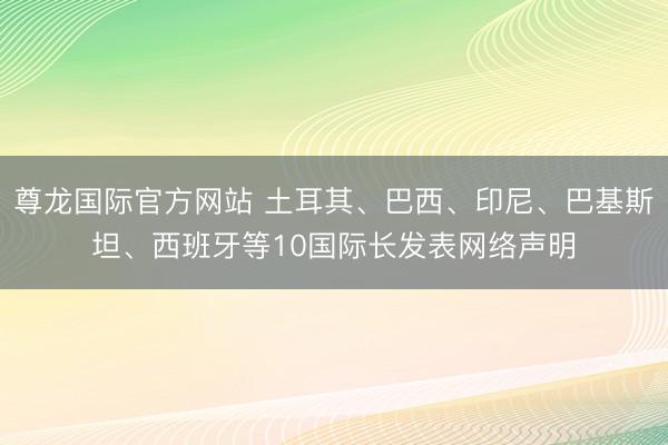 尊龙国际官方网站 土耳其、巴西、印尼、巴基斯坦、西班牙等10国际长发表网络声明