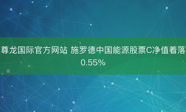 尊龙国际官方网站 施罗德中国能源股票C净值着落0.55%