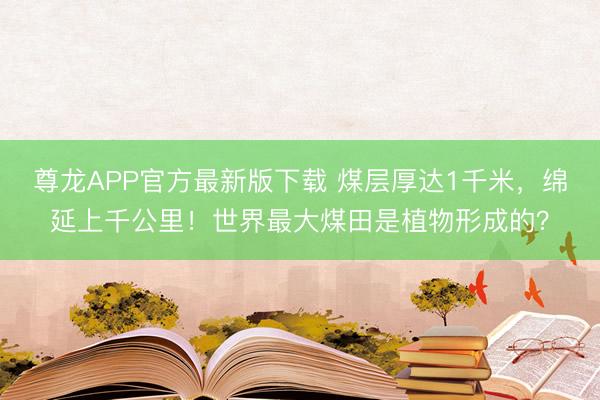 尊龙APP官方最新版下载 煤层厚达1千米，绵延上千公里！世界最大煤田是植物形成的？