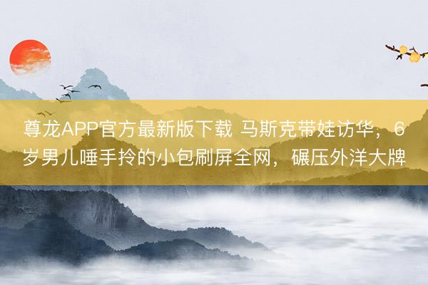 尊龙APP官方最新版下载 马斯克带娃访华，6岁男儿唾手拎的小包刷屏全网，碾压外洋大牌