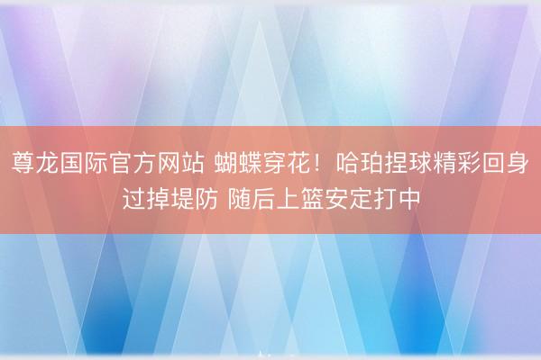 尊龙国际官方网站 蝴蝶穿花！哈珀捏球精彩回身过掉堤防 随后上篮安定打中