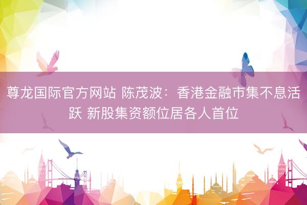 尊龙国际官方网站 陈茂波：香港金融市集不息活跃 新股集资额位居各人首位