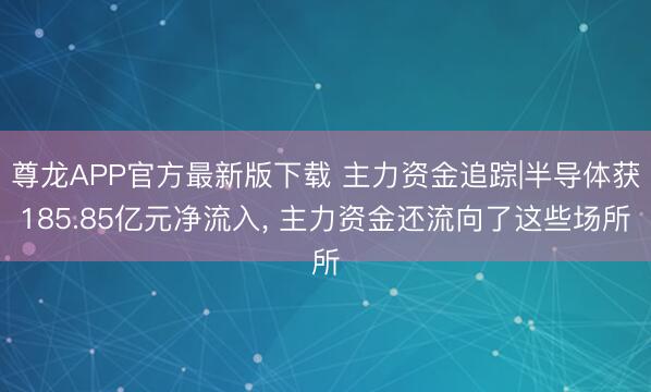 尊龙APP官方最新版下载 主力资金追踪|半导体获185.85亿元净流入， 主力资金还流向了这些场所