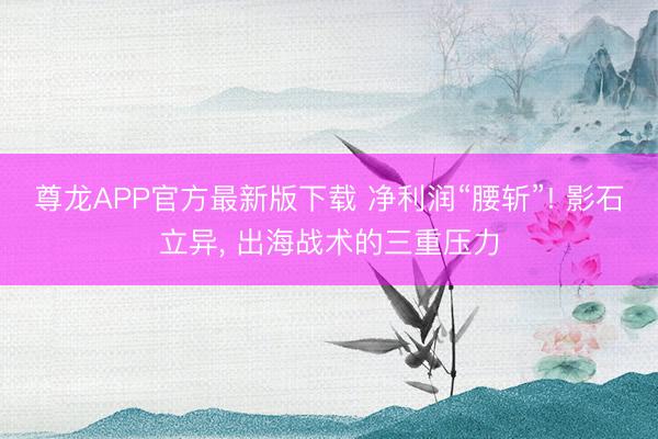 尊龙APP官方最新版下载 净利润“腰斩”! 影石立异, 出海战术的三重压力