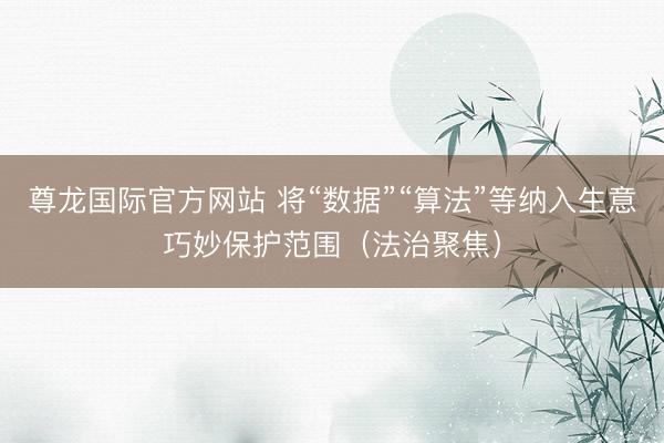 尊龙国际官方网站 将“数据”“算法”等纳入生意巧妙保护范围（法治聚焦）