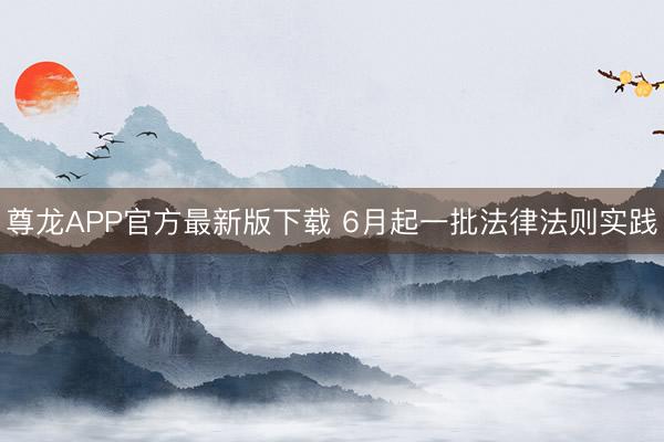 尊龙APP官方最新版下载 6月起一批法律法则实践